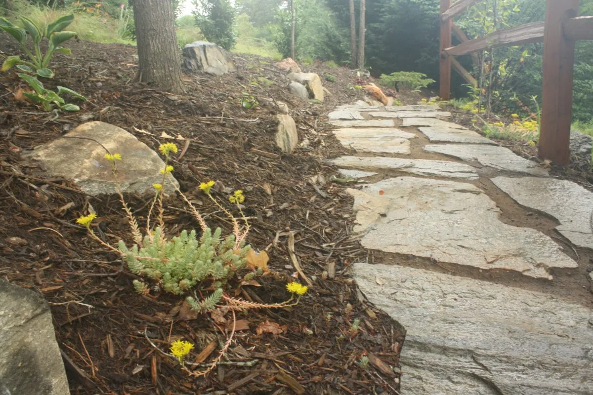 A Natural Scapes garden in Western North Carolina