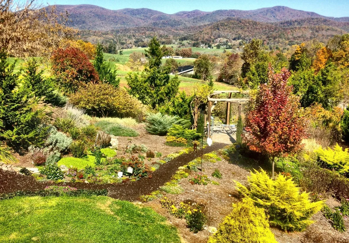 Layered hillside garden with ornamental shrubs, evergreens, perennials, mulch beds, and natural pathways