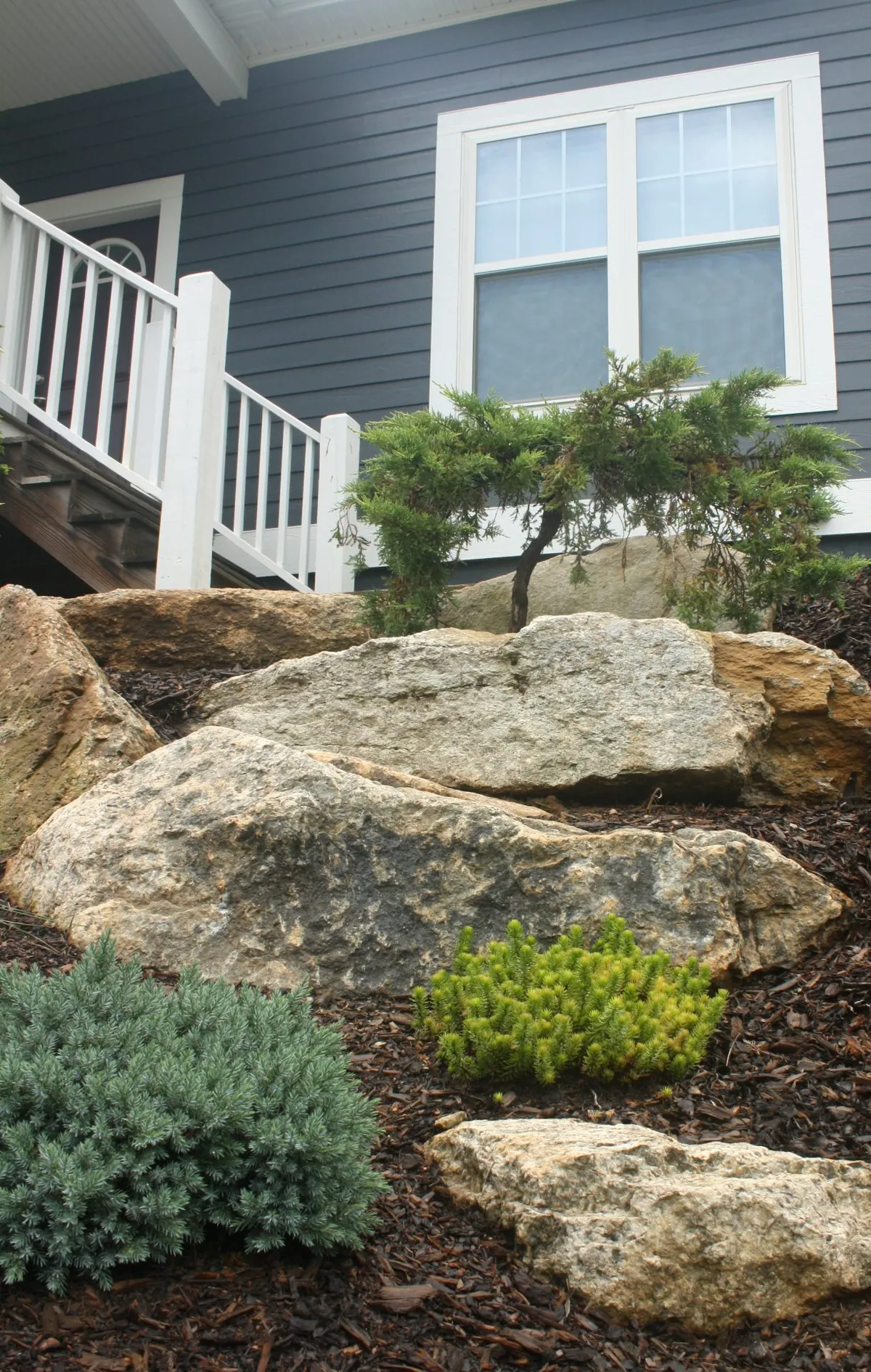 Natural boulder landscape bed with mulch, evergreen shrubs, and ornamental rock accents near the home foundation