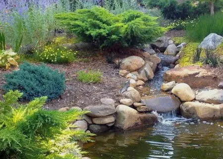 Natural pond landscaping with a rock stream, boulders, evergreen shrubs, and ornamental plantings